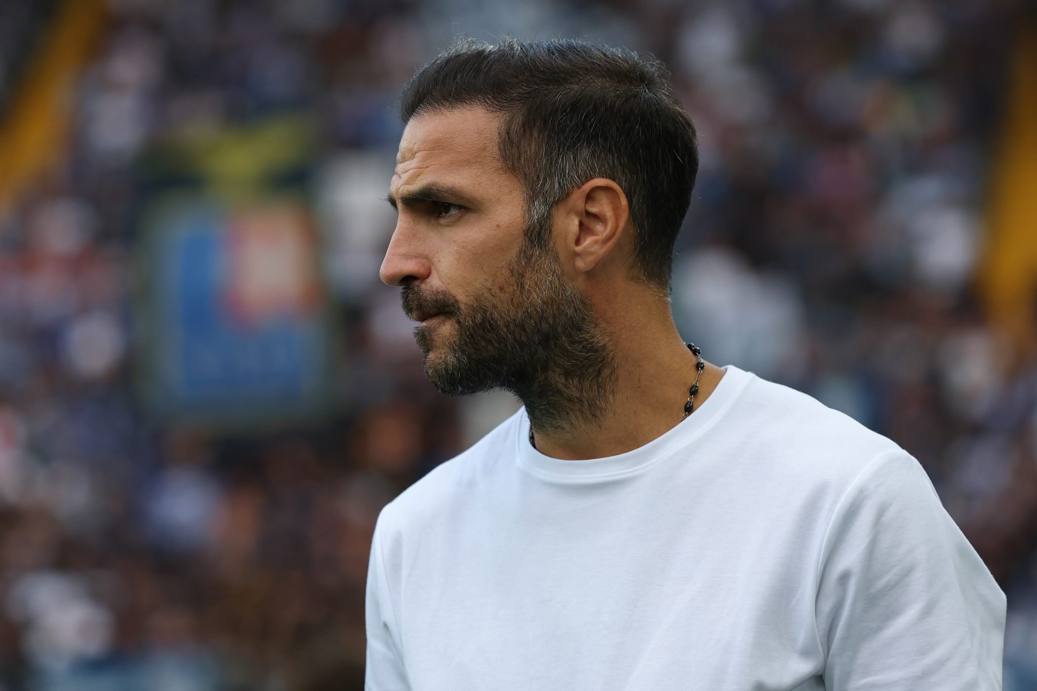 Cesc Fàbregas, entraîneur de Côme