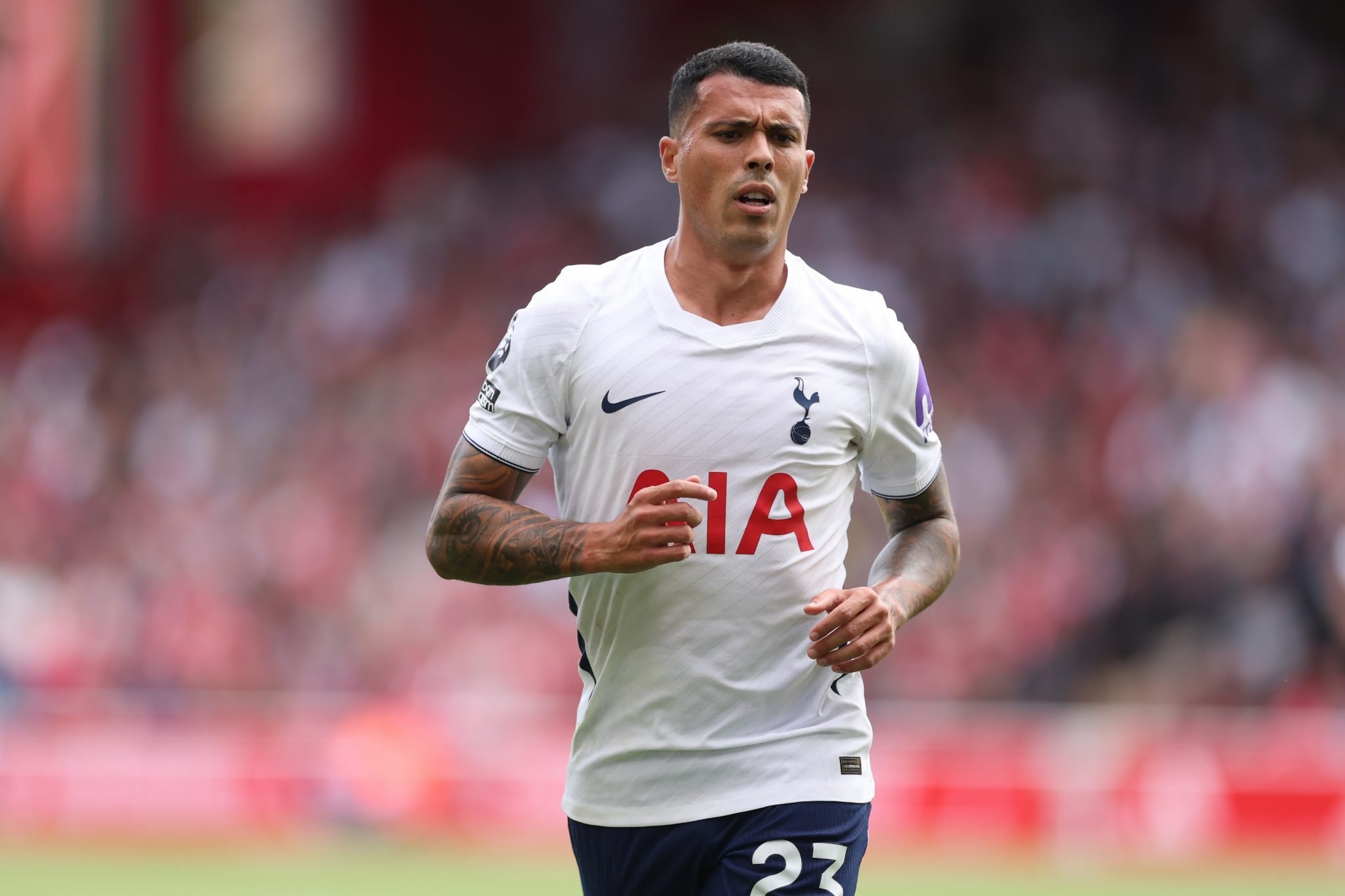 Pedro Porro, joueur de Tottenham